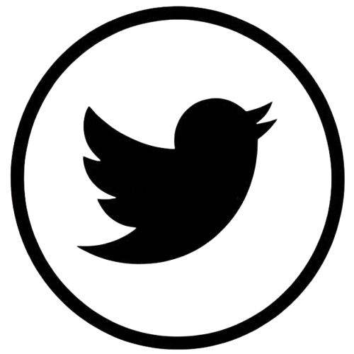 Enlace a Twitter